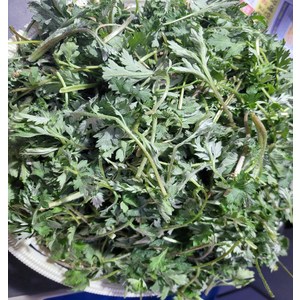 쑥 진도 생쑥 2kg 내외 야채맘 참쑥