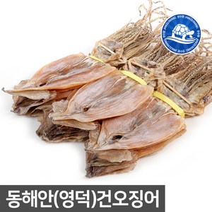 장수왕 동해안 마른 오징어 1축(20마리) 1.2kg내외 /국산 건오징어, 1.2kg 20입, 1개