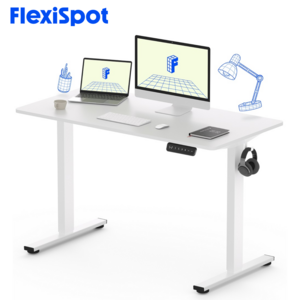 FlexiSpot 전동 낮은 높이 모션 데스크 A/S 5년 1200 높낮이조절 높이690~1100mm 초등학생 바른 자세 게이밍 사무실 책상 컴퓨터책상 EF1, 화이트