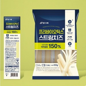 빙그레 프리바이오틱스 스트링치즈 20g x 20개