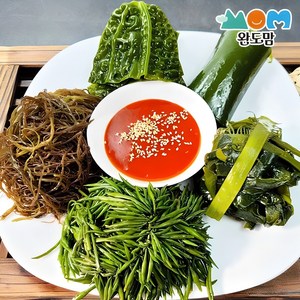 완도맘 손질하여 데친 완도 해초 모듬한상 120gx5팩 (곰피미역+톳+다시마+물미역+꼬시래기), 1세트, 120g