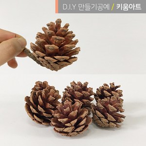 크리스마스 만들기 재료 소품 진짜솔방울 1kg 약50~60개입 리스장식 천연 가습기