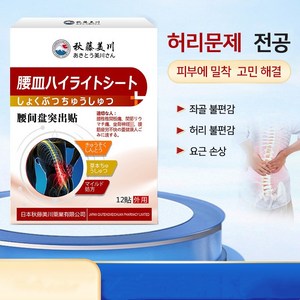 허리 디스크 요추 좌골 통증 관절신경통 증상완화허리 통증 12개 YJP-04, 1세트