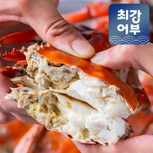 태안 신진도 활꽃게 산지직송 제철음식 가을꽃게 꽃개, 1박스, 3kg(9-14미)