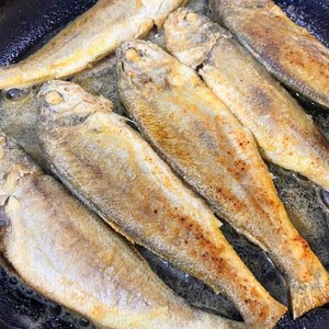 eTV [바다성찬] 영광 법성포 굴비 특대장대 90g x 20미 총1.8kg, 1