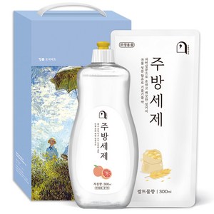 오늘의쉼표 세제 선물세트 답례품 자몽 19호 (자몽주방세제 용기 + 곡물주방세제), 1개