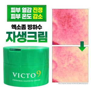 (자생/열노화) EGF 시카 빅토나인 엑소좀 빙하수 진정 크림 수분 크림, 1개, 100ml