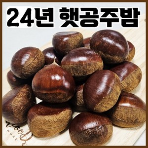 24년 햇 명품 국산 공주밤 1kg 출시 ( 칼집O/칼집X ), 명품 공주밤 1kg 칼집 O, 1개