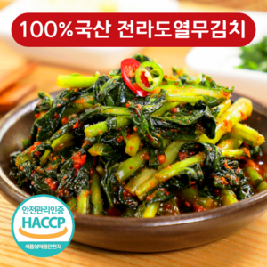 [함평명가] 당일제조 100% 국산 전라도 열무김치, 1개, 2kg