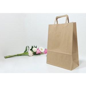 트리플러스 쇼핑백 크라프트 무지 종이가방 크라프트쇼핑백 1매, 특소 1매(18*9*23cm)100원