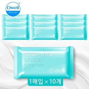 물 없이 샤워하는 도톰한 오웰 샤워티슈 대형 물티슈, 10개, 1매입