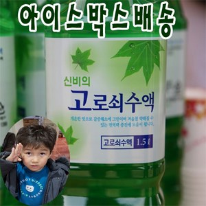 2월 10일 순차발송 (엄마마음 효자고로쇠) 산지직송 지리산 효자 1등급 고로쇠수액 100% 수액 (아이스박스 배송), 30개, 500ml