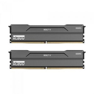 ESSENCORE KLEVV DDR5-6000 CL30 BOLT V 패키지 서린 (32GB(16Gx2)), 2개