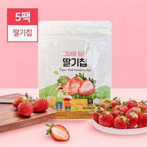 동결건조 생과일 그대로 담은 딸기칩(14g), 5세트, 14g