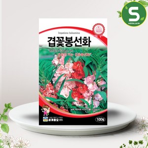 솔림텃밭몰 겹꽃봉선화씨앗 100립 봉선화 꽃씨앗 종자, 1개