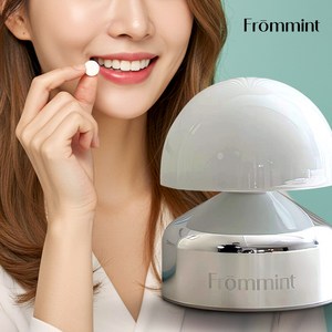 [프롬민트] 울트라민트 프리미엄 구강케어 씹는 자연유래 고체치약 기본형 100정, 70g, 1개