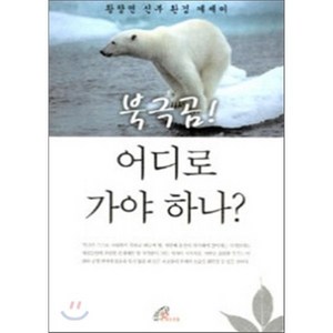 북극곰 어디로 가야 하나:황창연 신부 환경 에세이, 바오로딸, 황창연 저