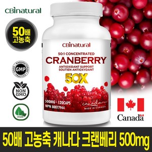 50배 고농축 캐나다 크랜베리 500mg 120캡슐 4개월 캐나다생산 본사직발송 캐나다식약청 GMP/NPN 인증, 120정, 1개