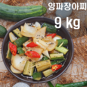 국산 양파장아찌 9kg 맛있는 양파초절임 대용량반찬 업소용반찬, 1개