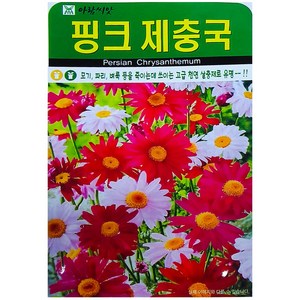 핑크 제충국씨앗 200립 꽃씨 천연 살충제 다년생, 1개