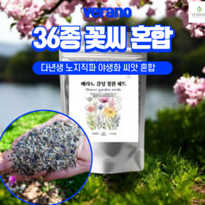 [노지직파 꽃씨앗 대용량] 베라노 감성정원 36종 꽃씨혼합 1만5천립 1평-3평 파종 노지 월동 다년생 사계절 야생화 종자, 1세트
