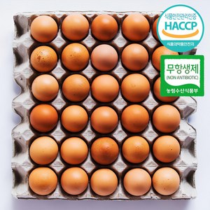 [유통연구소] HACCP 인증 맥반석 구운계란 중 대란, 1개, 30구
