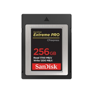 샌디스크코리아 공식인증정품 Exteme Po 익스트림프로 CFexpess 카드 SDCFE 256GB, 1개