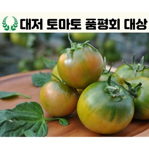 [프리미엄] 대저 짭짤이 토마토 2.5kg, 1개, L