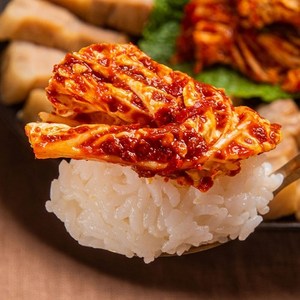 김치 겉절이 국내산 원재료, 1개, 2kg