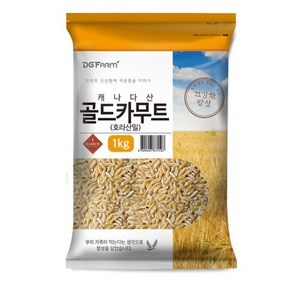 대구농산 건강한밥상 골드 카무트 호라산밀, 1kg, 1개