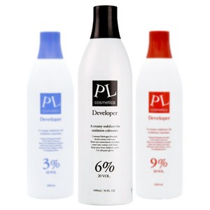 PL 피엘 디벨로퍼 6% 20vol 산화제 1000ml, 1개