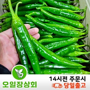 ( 오 일 장 상 회 ) 국내산 오이고추 아삭이고추 오이맛고추 <특등급> 1kg 2kg 10kg, 1개, 2kg내외