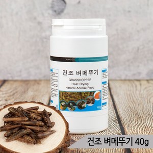 열풍건조 벼메뚜기 40g 소동물 앵무새 고단백질 간식, 1개