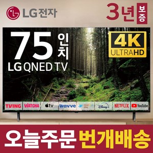 LG전자 75인치 TV QNED 4K 퀀덤닷 LED 스마트 티비 75QNED75 넷플릭스 유튜브 디즈니 미러링, 방문설치, 벽걸이형, 75인치TV