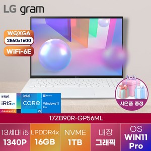 LG전자 윈도우11 LG gram 17ZB90R-GP56ML 업무용 노트북 가성비 고성능 노트북, WIN11 Pro, 16GB, 1TB, 코어i5, 화이트