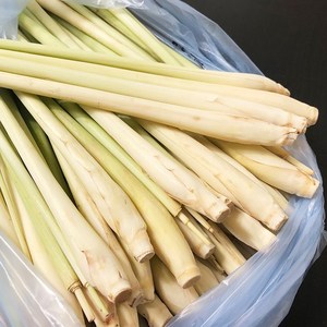 월드푸드 생 레몬그라스 LEMONGRASS SA TUOI XA, 1kg, 1개