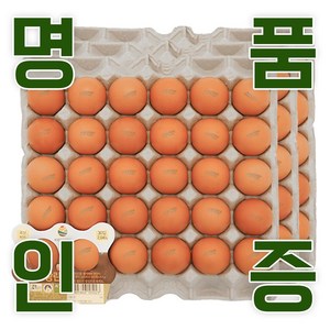 KB fam 계란 명품인증 무항생제 달걀 왕란 30구, 3개