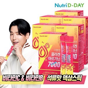 뉴트리디데이 더블업 콜라겐 초고함량 아르기닌 7000 6박스 총90포, 300g, 6개