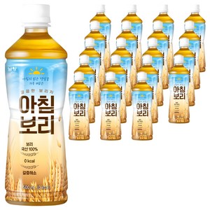 남양유업 아침보리 음료, 500ml, 20개