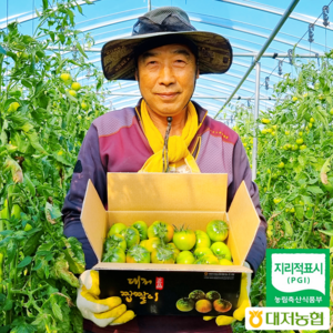 [최고평점] 대저 토마토 / 대저짭짤이토마토 산지직송, 특상품 대저 토마토 중과 [M] 2kg, 1개