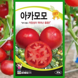 토마토씨앗 30립 아카모모 토마토 씨앗 종자 채소, 1개