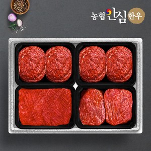 [농협안심한우] 1등급 일품정육세트 (불고기+불고기+국거리+장조림)/팩당400g/총1.6kg, 단품, 1개