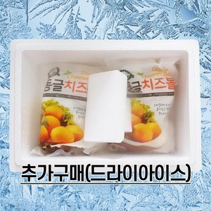 단독구매불가 드라이아이스(소), 1개