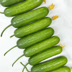 GREF 그레프 피콜리노 미니오이 꼬마오이 스낵오이 다이어트 오이, 1개, 3kg