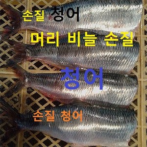 (쌍다리상회) 손질 청어 머리 비늘 손질 진공급냉, 손질청어 10마리 5미씩2팩 진공급냉, 1개, 1.5kg