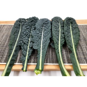 싱싱한 뉴그린 2kg (1.8~2kg) 박스 잎브로콜리 토스카노, 1개