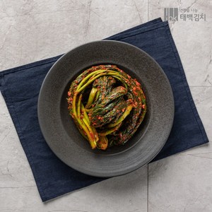 [건강을 나눔 태백김치] [태백김치] 태백 갓김치 4kg, 1개