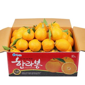 장보남 제주 한라봉 가정용 5KG(24-35과 내외) 소과, 5kg, 1개