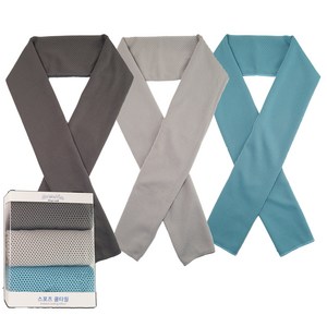 에버니즈 스포츠타올 쿨타월 건식 아이스타올, 혼합색상, 1개