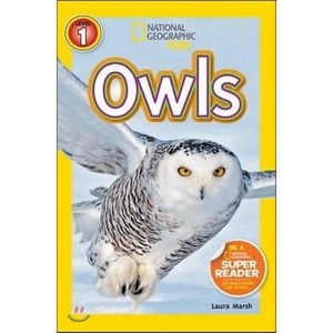 Owls, National Geogaphic Kids